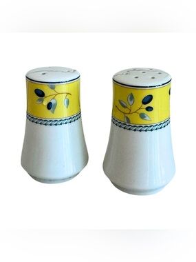 EUC Royal Doulton Blueberry Print Salt and Pepper Shakers